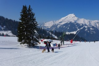 ramble | campsite l'oustalet | châtel